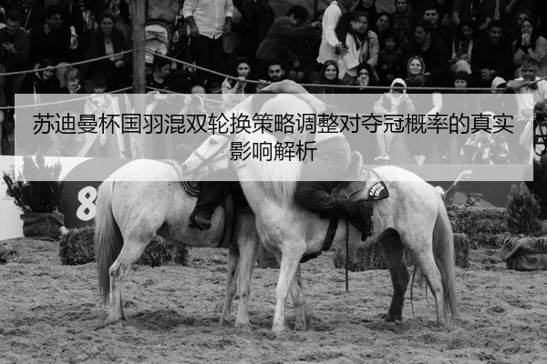 su-di-man-bei-guo-yu-hun-shuang-lun-huan-ce-lve-tiao-zheng-dui-duo-guan-gai-lv-de-zhen-shi-ying-xiang-jie-xi-2-865.jpg
